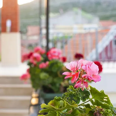 Lovori-lorbe * טרביניה