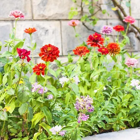 لوفوري-لوربي شقة